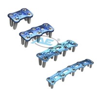 Titanium Anterior cervical plate System